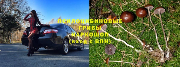 дмт Покачи