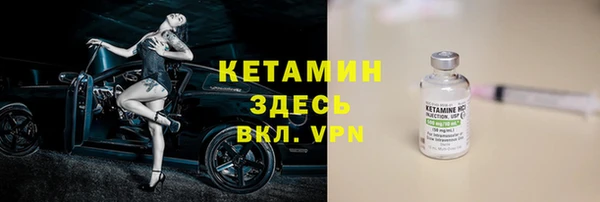 гашик Алексин