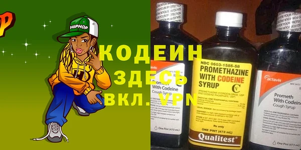 гашик Алексин