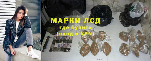 гашик Алексин