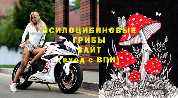 дмт Покачи
