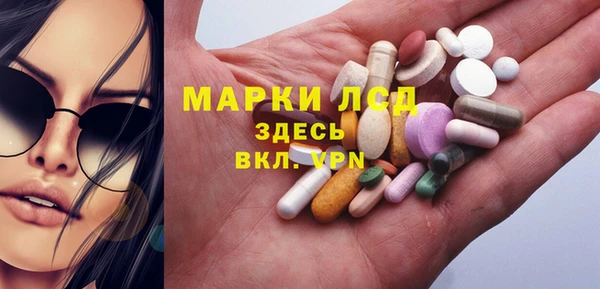 гашик Алексин