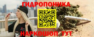 бошки Можга