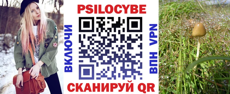 Псилоцибиновые грибы Magic Shrooms  кракен   Биробиджан 