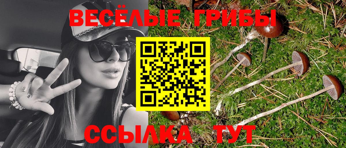 Псилоцибиновые грибы прущие грибы Биробиджан
