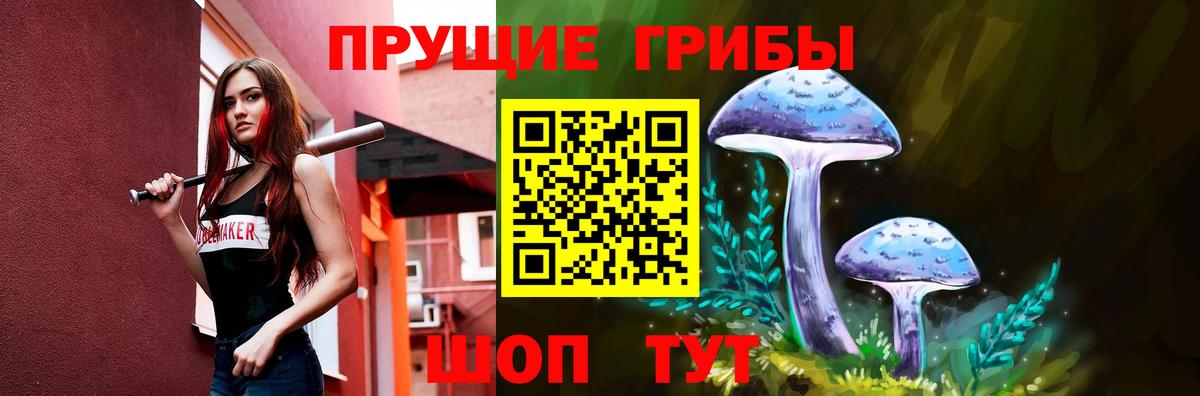 Биробиджан  Псилоцибиновые грибы мухоморы  Вход с VPN  Псилоцибиновые грибы Psilocybe 
